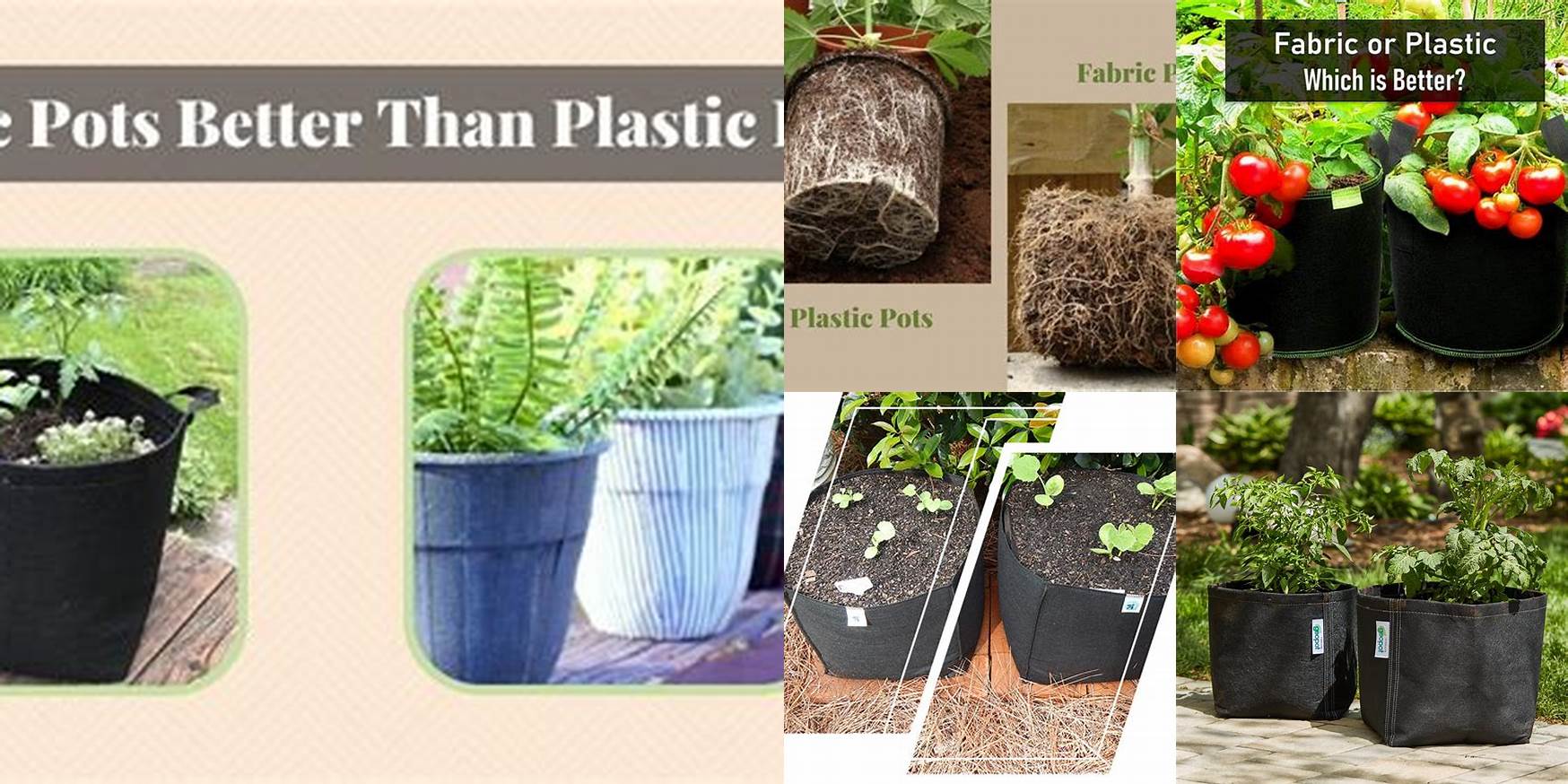Are Fabric Pots Better Than Plastic