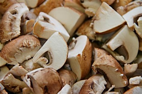 Are Mushrooms Good For Gut Health