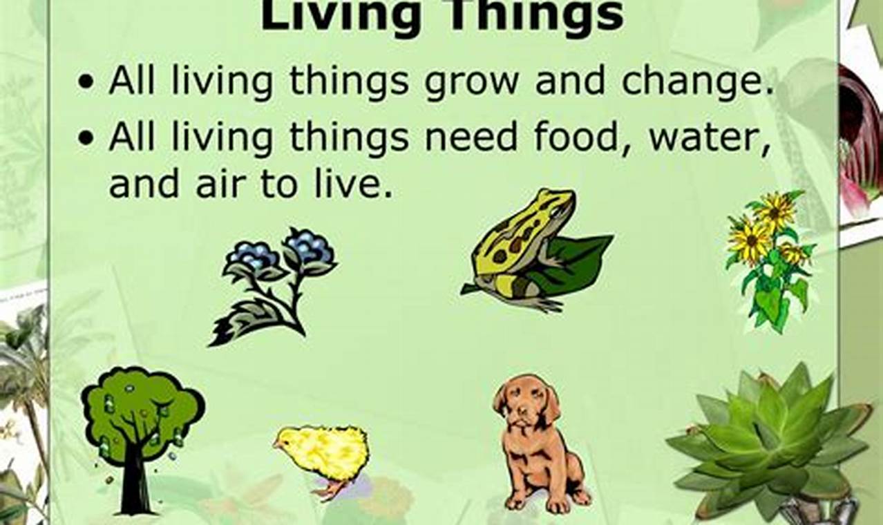 Are Plants Living Things