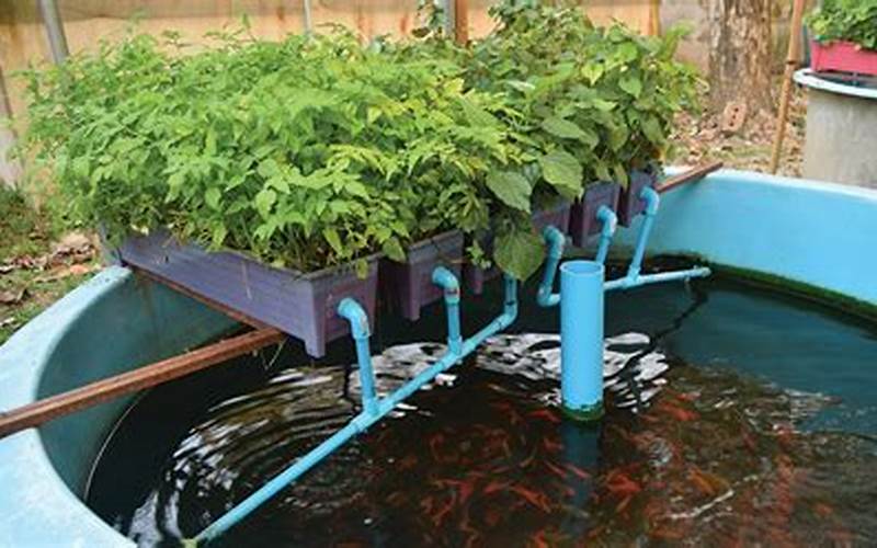 are screens okay to use in aquaponic systems