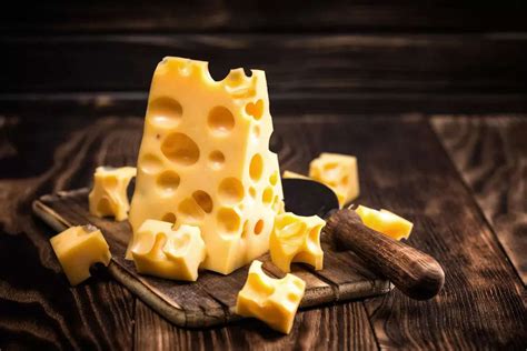 Are There Any Nutritional Benefits in Swiss Cheese for Dogs?