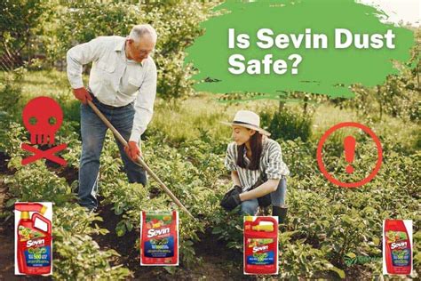 Are There Any Risks Involved With Using Sevin 5 Dust?