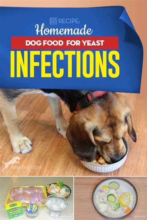 Are There Any Risks of Feeding My Dog Nutritional Yeast?