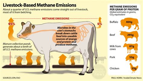 Are Farm Animals The Biggest Cause Of Greenhouse Gases