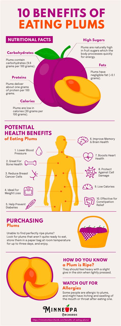 Unlocking the Beauty Benefits: Discover Why Plums are Nature's Secret to Glowing Skin