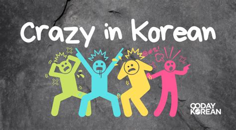 Are You Crazy Meaning In Korean
