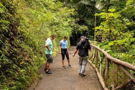 Arenal Forest Tour Guide