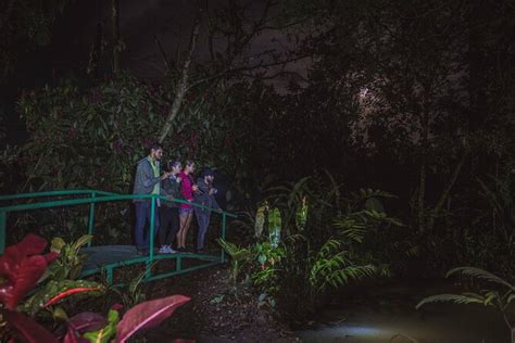 Arenal Night Tour: A Detailed Review of Rainforest Whispers
