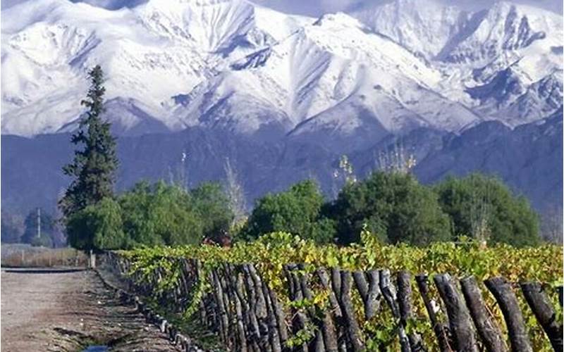 Argentina Wine Tours