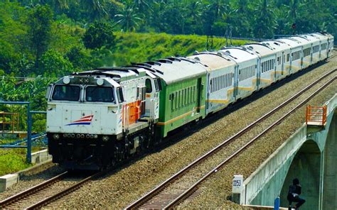 Argo Dwipangga train