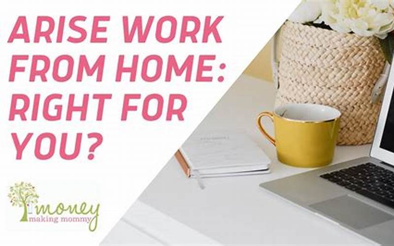 Arise Work From Home Working Process