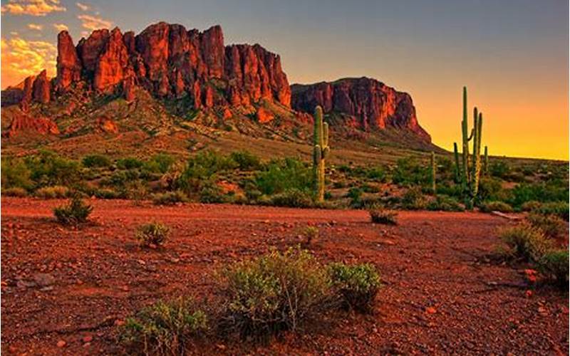 Arizona Desert