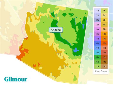 ZONE 9 AZ in 2020 Growing calendar, Spring planting guide, Flowers