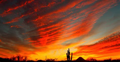 Arizona Sunset