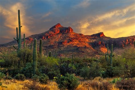 Arizona desert landscape