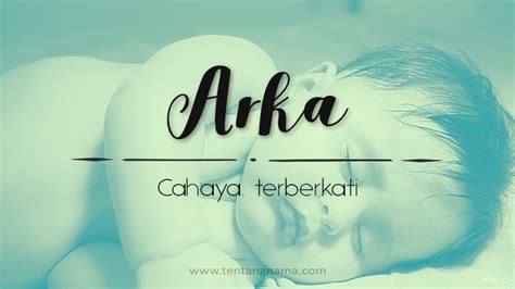 Arka artinya di Indonesia dan manfaatnya