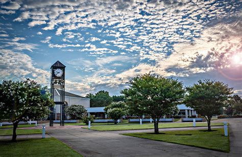 Arkansas Course Catalog