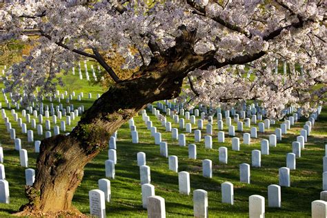 Arlington National Cemetery guide
