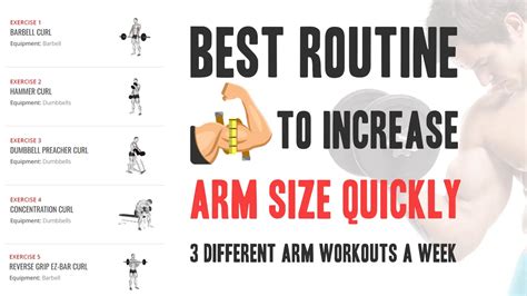 Arm Workout Routine For Size