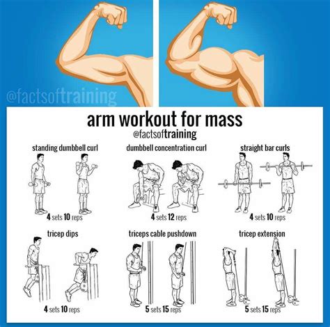 Arm Workout Routines For Mass