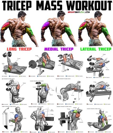 Arms Workout Routine Triceps