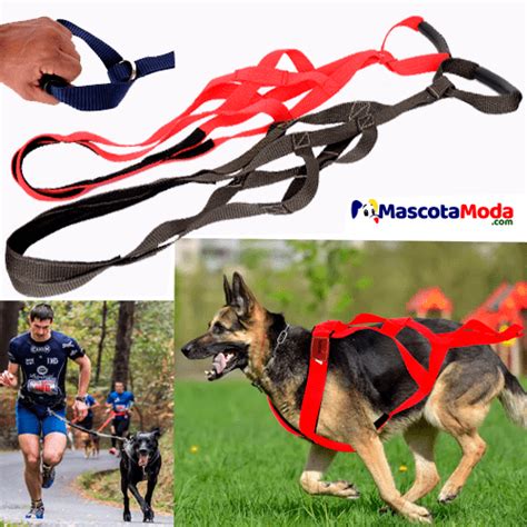 ThinkPet: el mejor arnés para correr con perros | Ofertas y