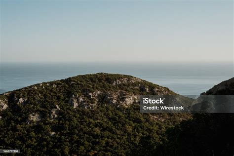Arrabida Park Vegetation