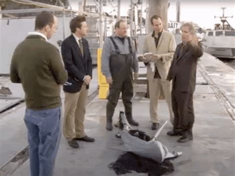 Arrested Development Jump The Shark Gif
