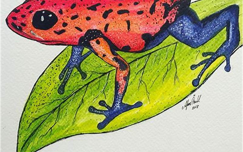 Poison Dart Frog Drawing: A Guide to Creating Your Own Artwork