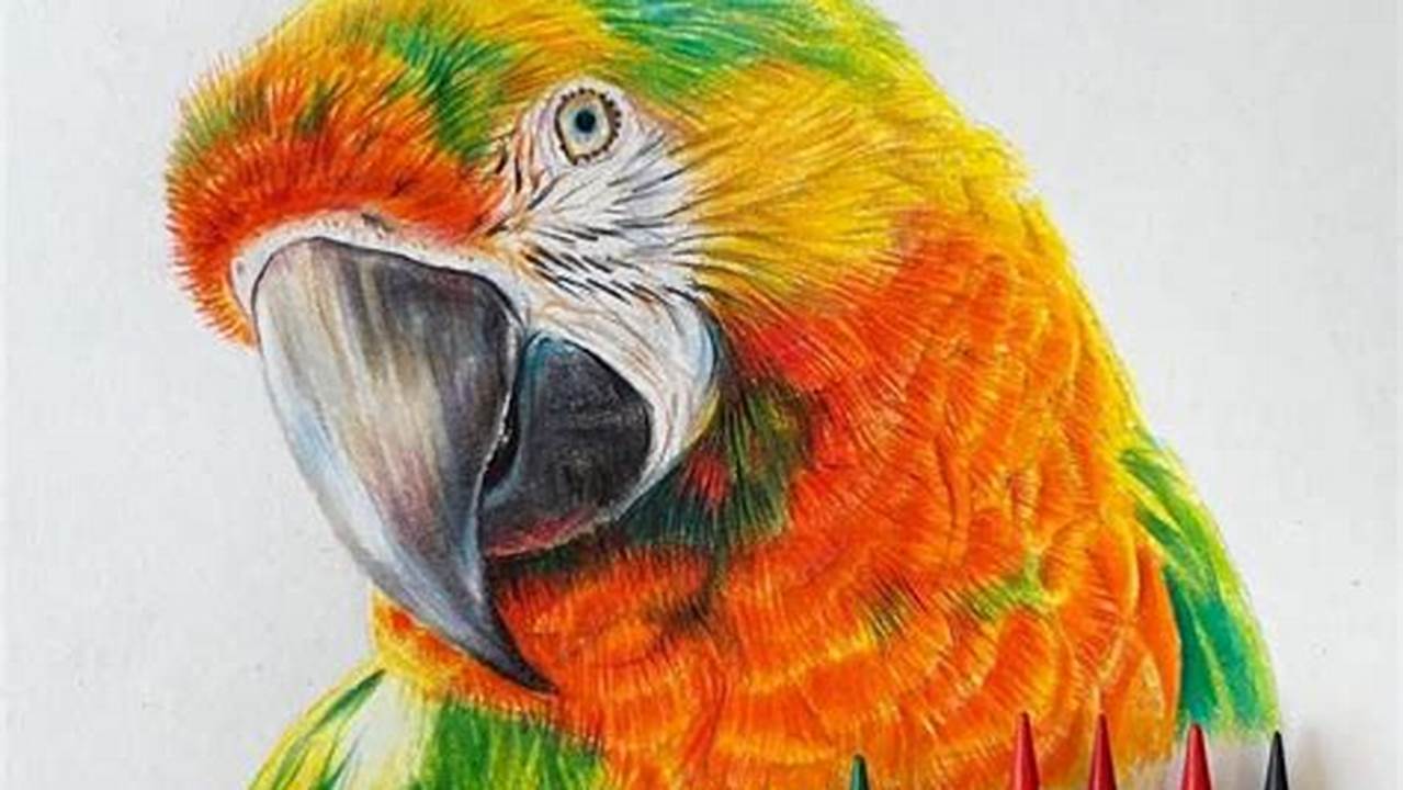 Art With Colored Pencils