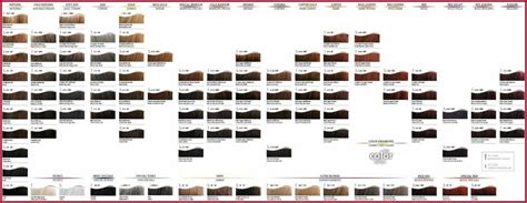 Artego Hair Color Catalog