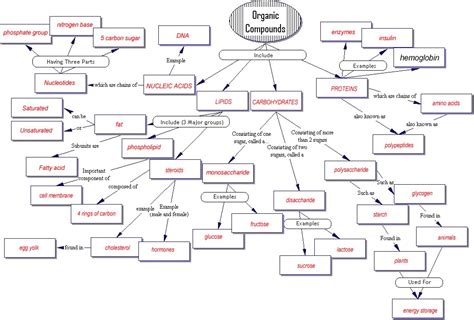 Artery Concept Map Answer Key Map