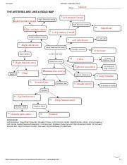 14+ Wahrheiten in Printiable Mape Of Arteries And Viens? If you've ever