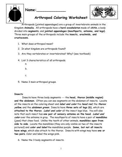 Arthropod Coloring Worksheet Review Questions