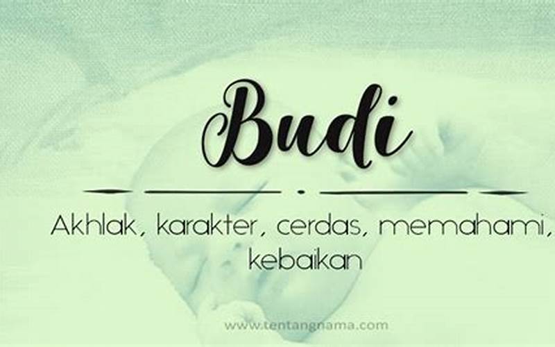 Arti Nama Budi