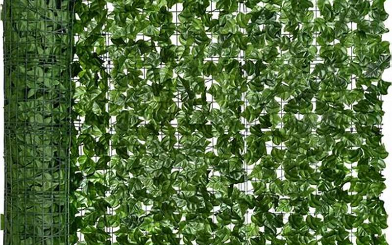 Artificial Fence Privacy Ivy: The Ultimate Solution For Your Privacy Needs