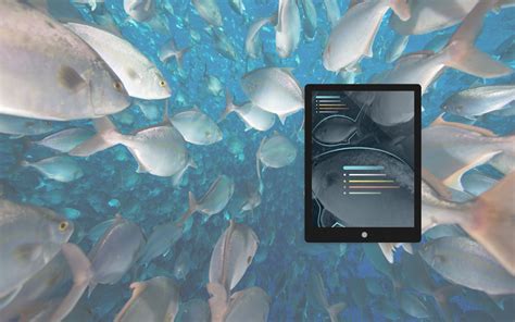 Artificial Intelligence fish bowl