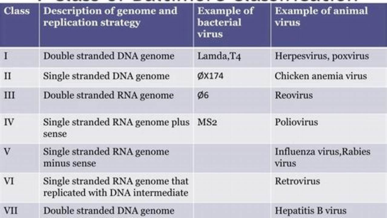 Artscape 2024 Baltimore Classification