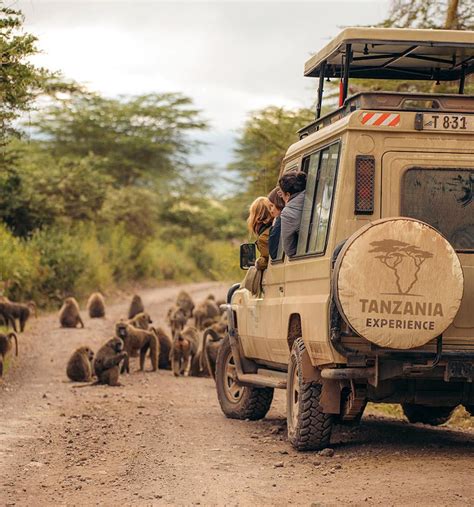 Arusha Safari Experience