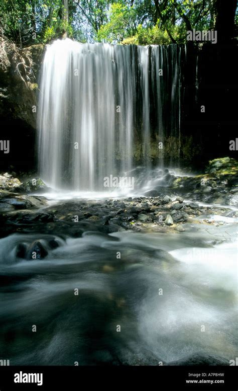 Arusha Waterfall Photography