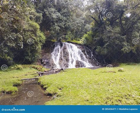 Arusha Waterfall landscape