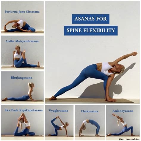 Asana The Flexibility Champion