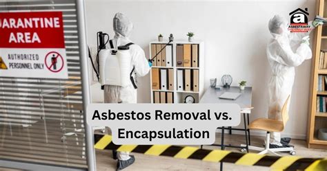 Asbestos Removal vs Encapsulation