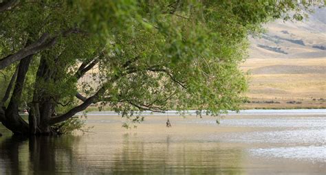 Ashburton Attractions