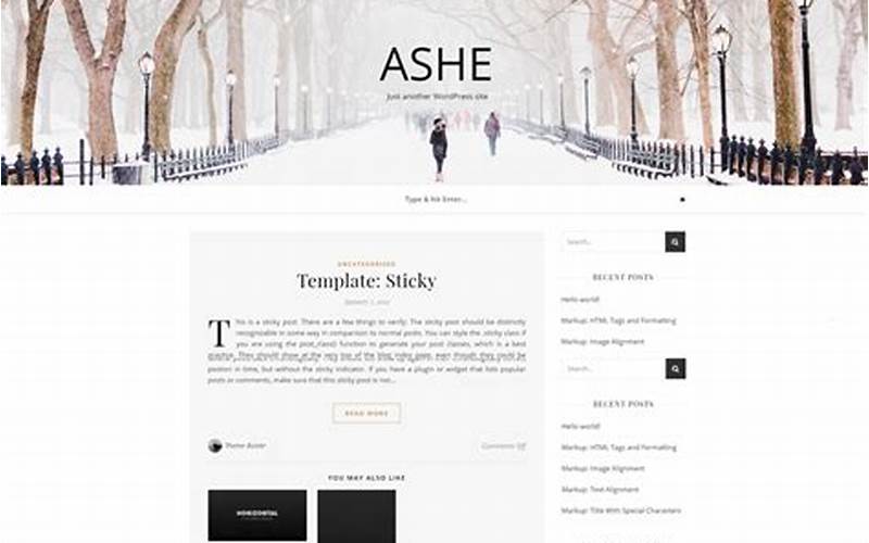 Ashe WordPress Template