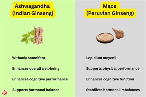 Ashwagandha And Maca Root Together