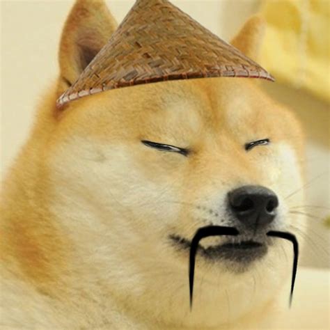 Asian Dog Meme