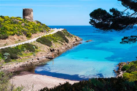 Asinara tips