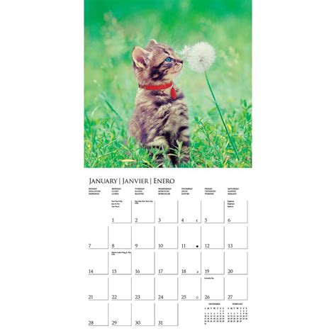 Aspca 2024 Calendar