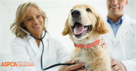 Aspca Insurance